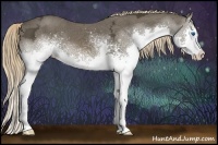 Horse Color:White Spotted Liver Chestnut Ice Sabino Splash 