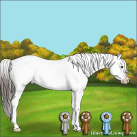 Horse Color:Liver Chestnut Appaloosa 