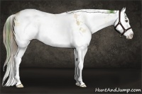 Horse Color:Plaid  Liver Red Dun Pearl Onyx Sabino Splash 