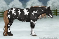 Horse Color:White Spotted Liver Chestnut Ice 