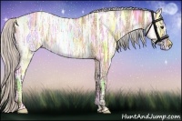 Horse Color:Silver Bay Ice Dun 