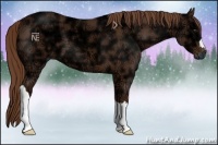 Horse Color:Chestnut Ice 