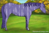 Horse Color:Watercolor Black Ice Sabino Rabicano 