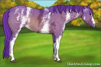 Horse Color:Watercolor White Spotted Bay Ice