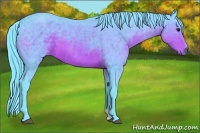 Horse Color:Watercolor Brown 