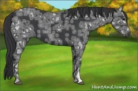 Horse Color:Black Ice 