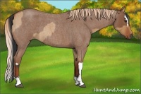 Horse Color:Bay Roan Dun and Red Roan Splash