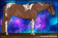 Horse Color:Chestnut  and Chestnut Tobiano 
