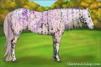 Horse Color:ERROR: UNKNOWN ANOMALY and Smoky Creme Ice Tobiano 