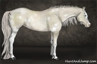 Horse Color:White Spotted Chocolate Palomino Pearl 