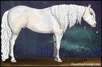Horse Color:Silver Perlino Roan Splash Tobiano 