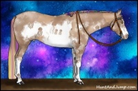 Horse Color:Painted Chestnut Pearl Sabino Frame  and Painted Black Pearl Sabino Frame 
