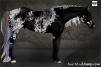 Horse Color:ERROR: UNKNOWN ANOMALY and ERROR: UNKNOWN ANOMALY