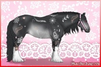 Horse Color:Brown Chinchilla 