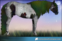 Horse Color:ERROR: UNKNOWN ANOMALY and ERROR: UNKNOWN ANOMALY