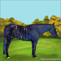 Horse Color:ERROR: UNKNOWN ANOMALY and ERROR: UNKNOWN ANOMALY