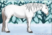 Horse Color:Brown Sabino Appaloosa Rabicano  and Brown Tobiano Appaloosa Rabicano 