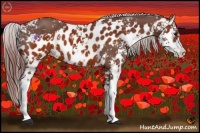Horse Color:Chocolate Silver Black Sabino and Chocolate Brown Sabino Appaloosa