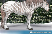 Horse Color:White Spotted Chocolate Brown Ice Splash Frame Appaloosa Rabicano  and White Spotted Chocolate Brown Ice Frame Appaloosa Rabicano 