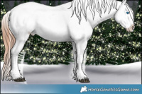 Horse Color:White Spotted Chocolate Brown Ice Splash Frame Appaloosa Rabicano and White Spotted Chocolate Brown Ice Frame Appaloosa Rabicano