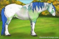 Horse Color:Watercolor Brown Onyx Snowcap Rabicano  and Watercolor White Spotted Brown Onyx Tobiano Snowcap Rabicano 