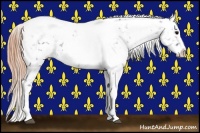 Horse Color:Black Snowflake VarnishRabicano  and Buckskin Pearl Dun Snowflake VarnishRabicano 