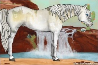 Horse Color:White Spotted Liver Red Dun Onyx Splash Frame Rabicano Brindle  and White Spotted Chocolate Palomino Pearl Onyx Splash Frame Rabicano Brindle 