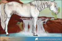 Horse Color:White Spotted Liver Red Dun Onyx Mushroom Splash Frame Rabicano Brindle  and White Spotted Chocolate Palomino Pearl Onyx Mushroom Splash Frame Rabicano Brindle 