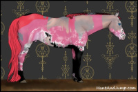 Horse Color:ERROR: UNKNOWN ANOMALY and ERROR: UNKNOWN ANOMALY
