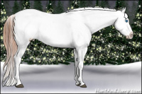 Horse Color:Brown Sabino Splash Frame Appaloosa Rabicano  and White Spotted Brown Frame Appaloosa Rabicano 