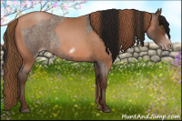 Horse Color:Brown Pearl Frame Rabicano  and Gray Sable Champagne Roan Frame Rabicano 