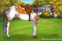 Horse Color:White Spotted Brown Frame Appaloosa Rabicano  and White Spotted Brown Frame Appaloosa Rabicano 