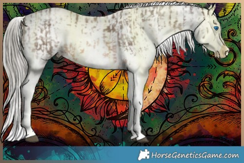 Horse Color:White Spotted Liver Chestnut Mushroom Sabino Splash  and White Spotted Liver Chestnut Mushroom Sabino Splash Appaloosa 