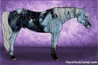 Horse Color:ERROR: UNKNOWN ANOMALY and ERROR: UNKNOWN ANOMALY