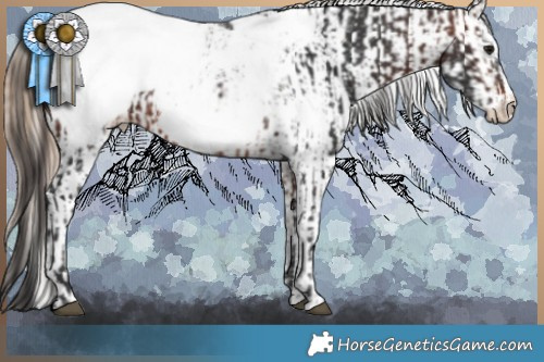 Horse Color:Brown Frame Appaloosa Rabicano  and Liver Chestnut Pearl Sabino Splash Appaloosa Rabicano 