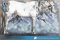 Horse Color:Brown Frame Appaloosa Rabicano and Liver Chestnut Pearl Sabino Splash Appaloosa Rabicano