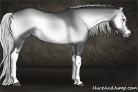 Horse Color:White Spotted Silver Brown Chinchilla Onyx 