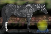 Horse Color:Black  and Black 