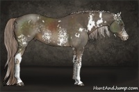 Horse Color:White Spotted Chocolate Palomino