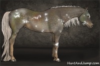 Horse Color:White Spotted Chocolate Palomino Sabino Rabicano