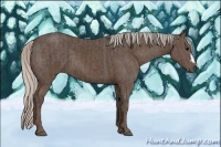 Horse Color:Silver Black  and Silver Black 