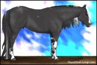 Horse Color:Smoky Black Splash Tobiano
