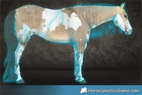 Horse Color:Thunderstruck Chocolate Silver Grullo Chinchilla Sabino Splash  and Buckskin Dun Brindle 