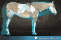 Horse Color:Thunderstruck Chocolate Silver Grullo Chinchilla Sabino Splash  and Buckskin Dun Brindle 