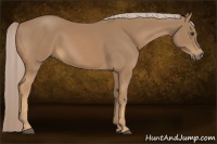 Horse Color:Palomino 