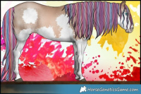 Horse Color:Painted Liver Chestnut Pearl Splash