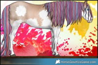 Horse Color:Painted Liver Chestnut Pearl Splash 
