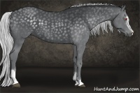 Horse Color:Silver Black Chinchilla Sabino