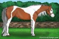 Horse Color:Bay Tobiano 