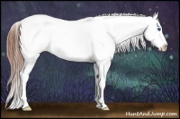 Horse Color:Black Splash Tobiano Blanket 